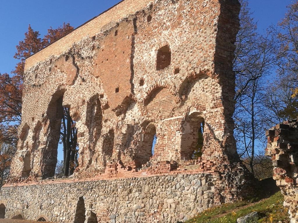 Viljandin linnarauniot
